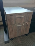 IOF 2-DRAWER MOBILE FILE SOUTHWEST